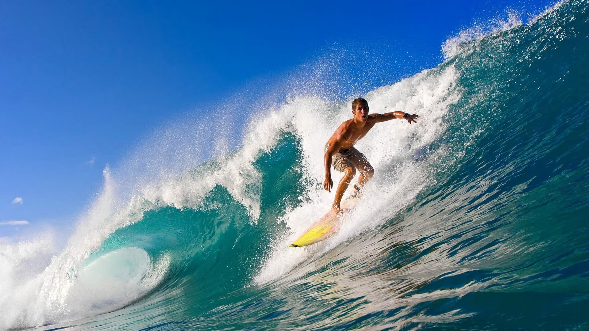 九游sports-《最受期待的直播嘉宾：明星主播加盟助阵》，见证下一个明星主播报名