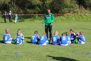 JiuyouAPP下载-德甲客场战术大公开，德甲打法